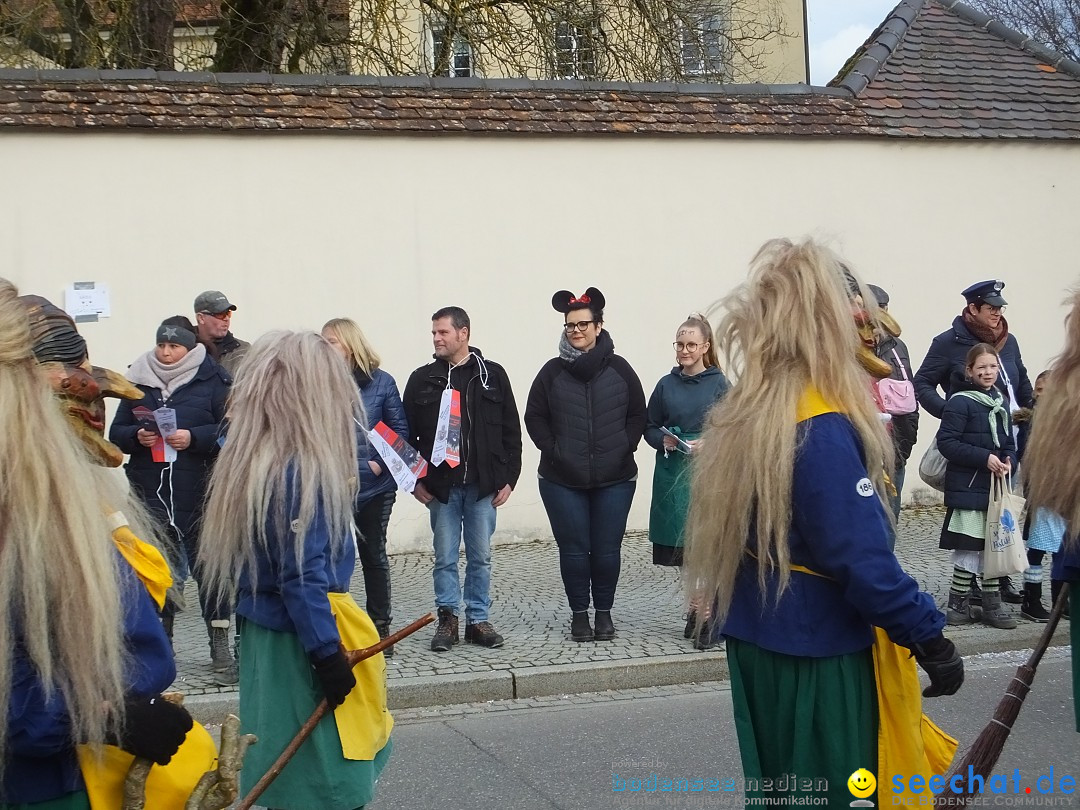 Fasnetsumzug, Narrensprung mit ueber 1200 Narren: Zwiefalten, 23.02.2020