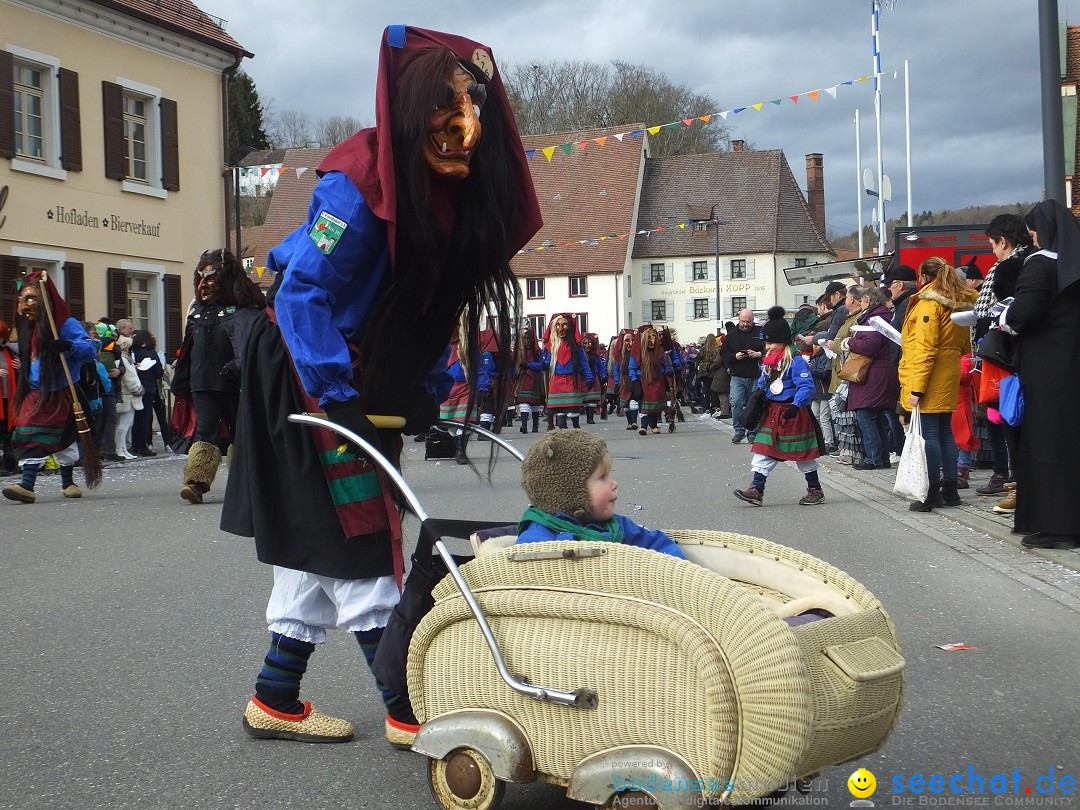 Fasnetsumzug, Narrensprung mit ueber 1200 Narren: Zwiefalten, 23.02.2020