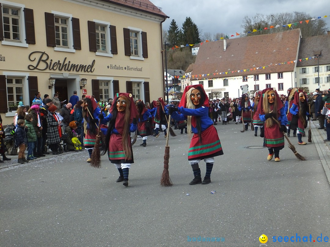 Fasnetsumzug, Narrensprung mit ueber 1200 Narren: Zwiefalten, 23.02.2020