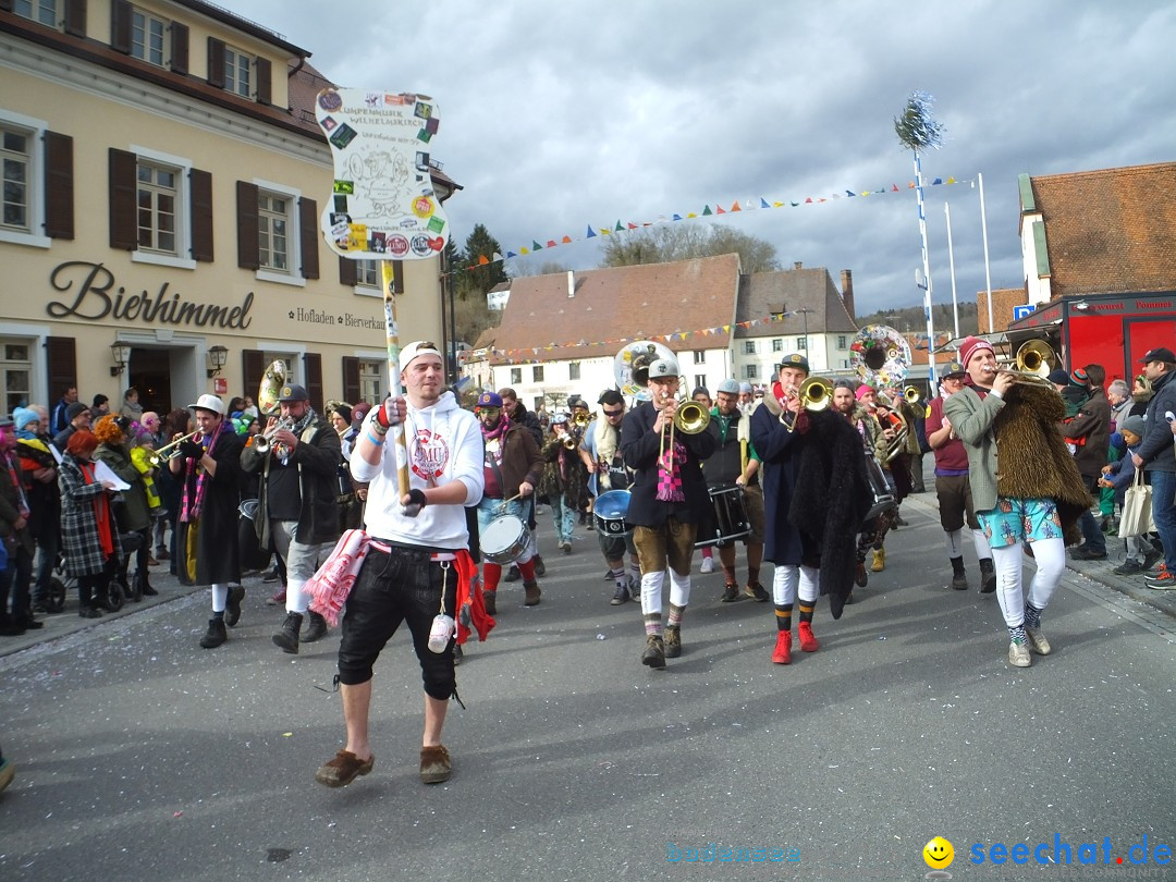 Fasnetsumzug, Narrensprung mit ueber 1200 Narren: Zwiefalten, 23.02.2020