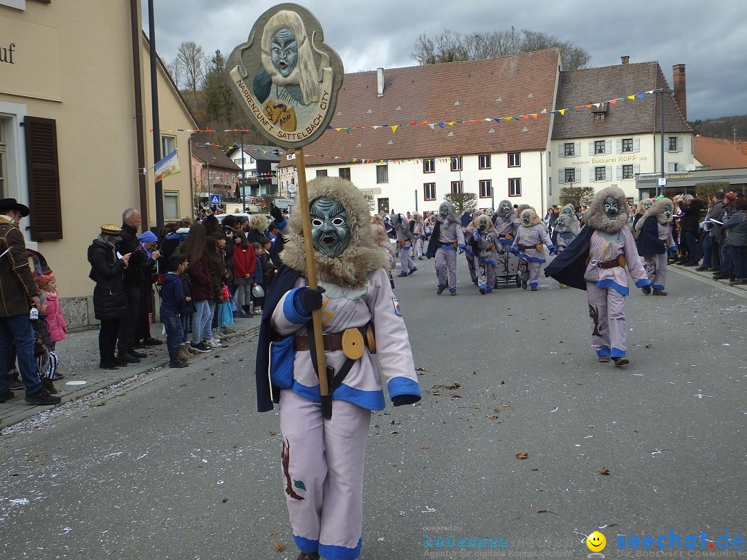 Fasnetsumzug, Narrensprung mit ueber 1200 Narren: Zwiefalten, 23.02.2020