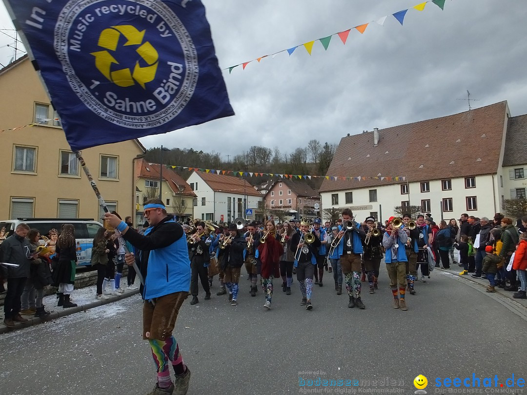 Fasnetsumzug, Narrensprung mit ueber 1200 Narren: Zwiefalten, 23.02.2020