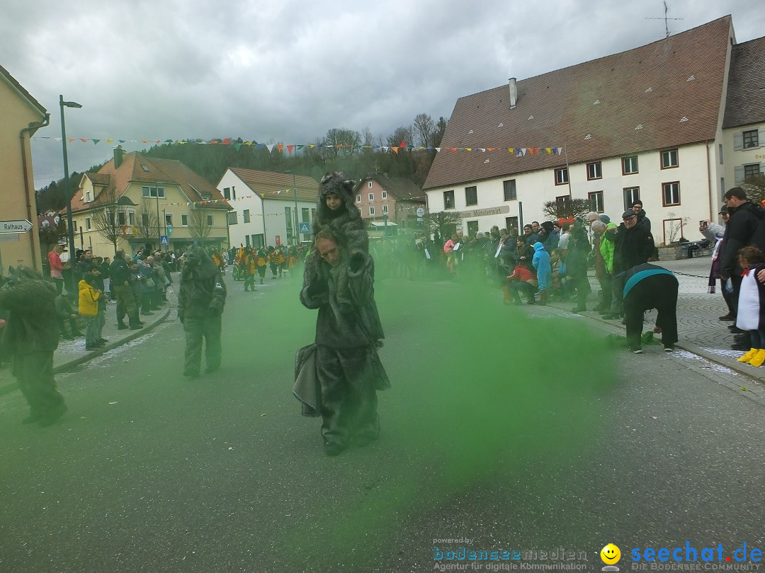 Fasnetsumzug, Narrensprung mit ueber 1200 Narren: Zwiefalten, 23.02.2020