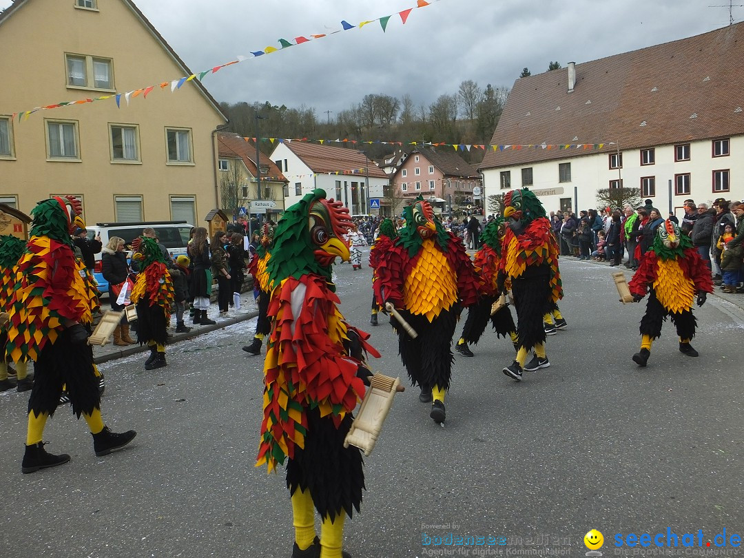 Fasnetsumzug, Narrensprung mit ueber 1200 Narren: Zwiefalten, 23.02.2020