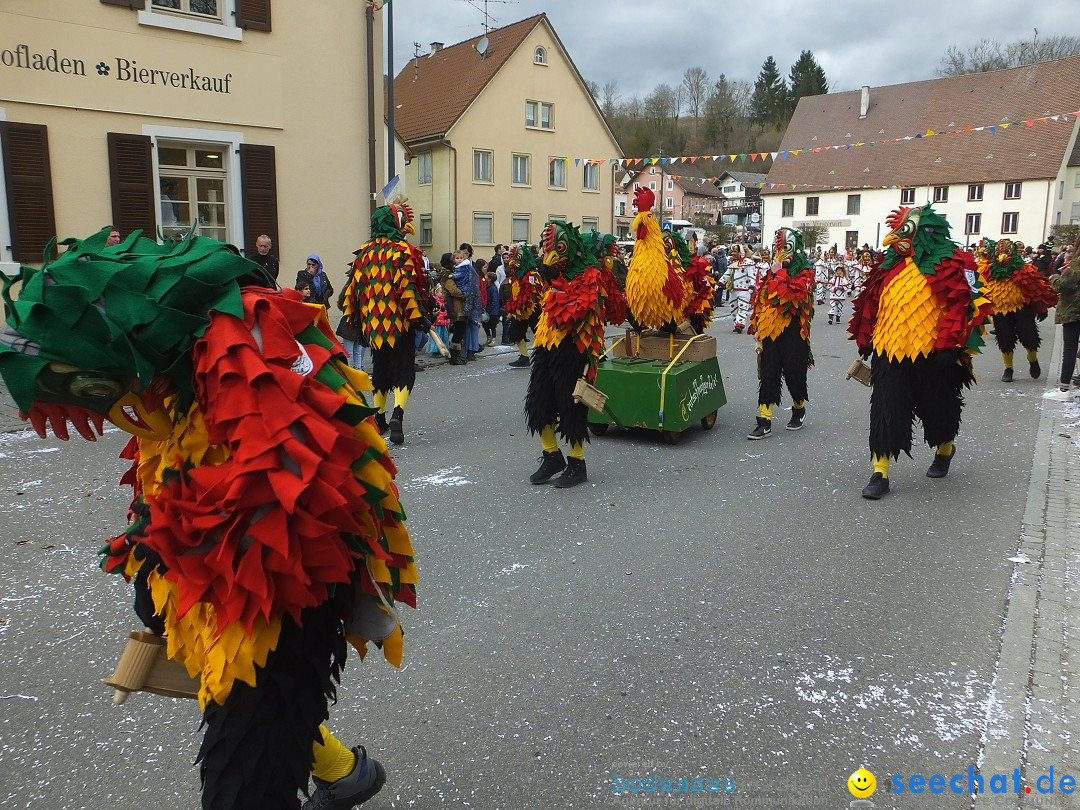 Fasnetsumzug, Narrensprung mit ueber 1200 Narren: Zwiefalten, 23.02.2020