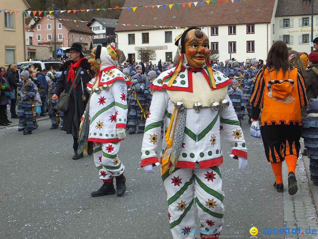 Fasnetsumzug, Narrensprung mit ueber 1200 Narren: Zwiefalten, 23.02.2020