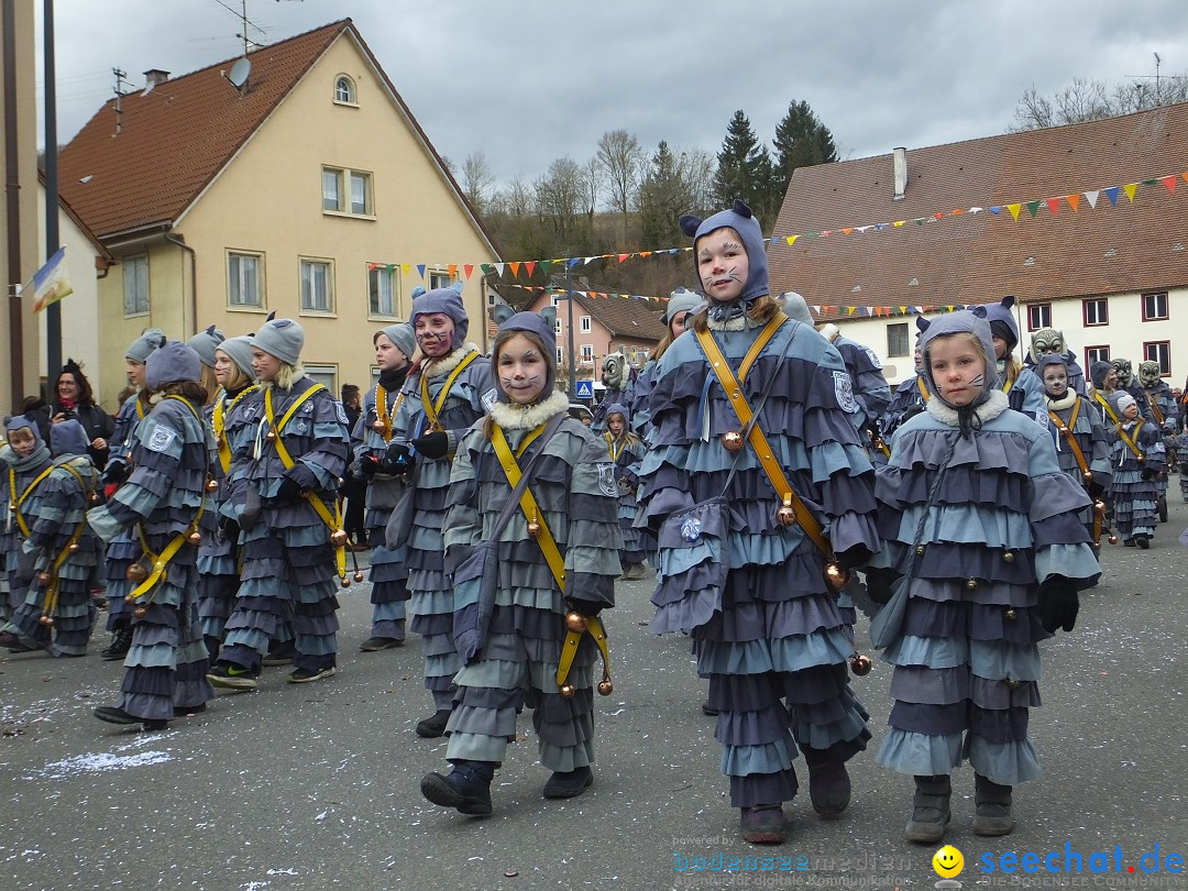 Fasnetsumzug, Narrensprung mit ueber 1200 Narren: Zwiefalten, 23.02.2020