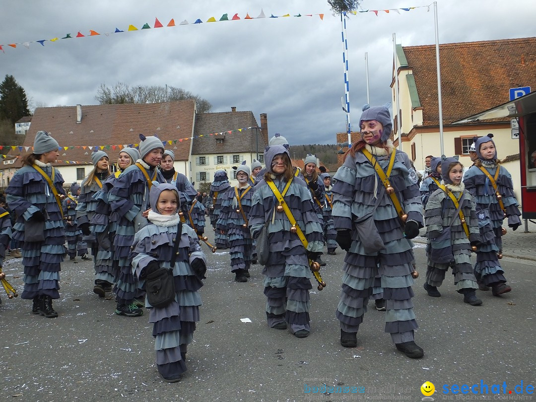 Fasnetsumzug, Narrensprung mit ueber 1200 Narren: Zwiefalten, 23.02.2020