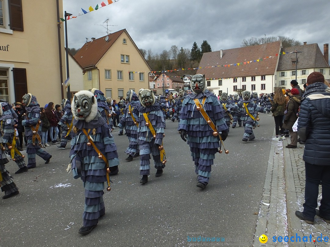 Fasnetsumzug, Narrensprung mit ueber 1200 Narren: Zwiefalten, 23.02.2020