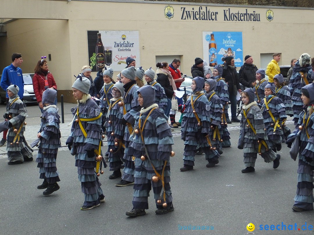 Fasnetsumzug, Narrensprung mit ueber 1200 Narren: Zwiefalten, 23.02.2020