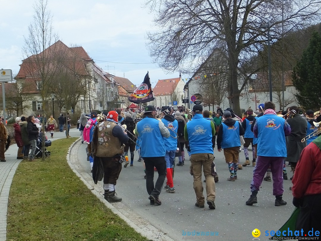 Fasnetsumzug, Narrensprung mit ueber 1200 Narren: Zwiefalten, 23.02.2020