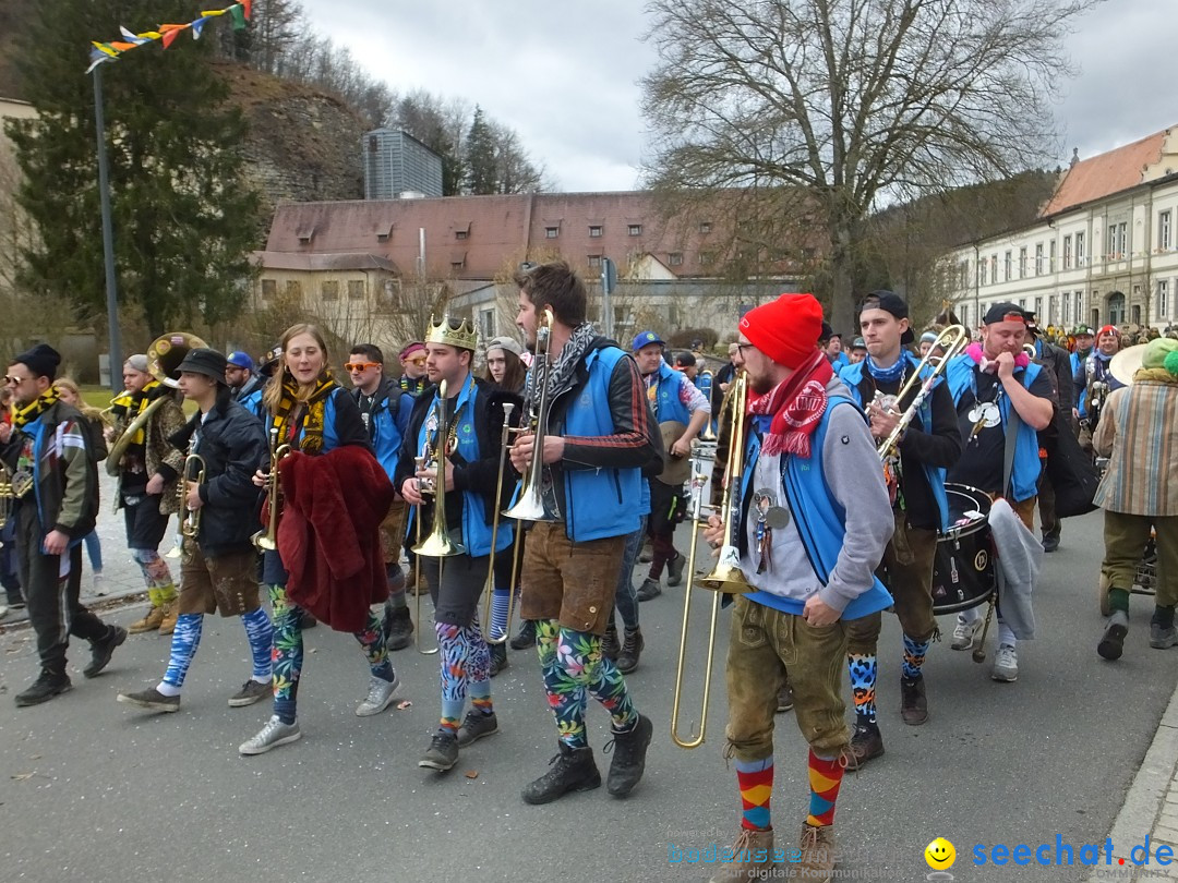 Fasnetsumzug, Narrensprung mit ueber 1200 Narren: Zwiefalten, 23.02.2020