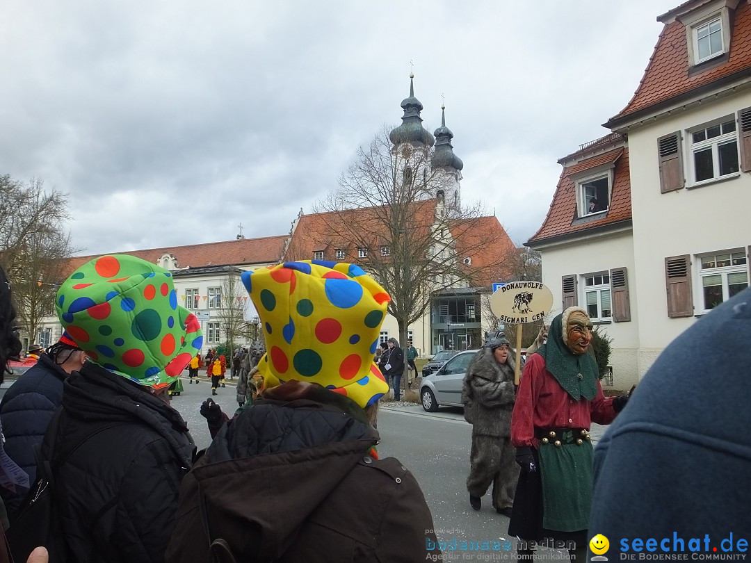 Fasnetsumzug, Narrensprung mit ueber 1200 Narren: Zwiefalten, 23.02.2020