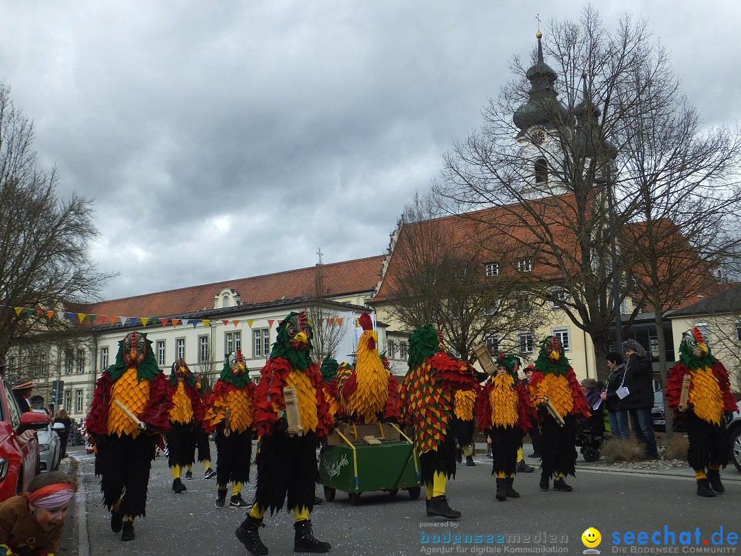 Fasnetsumzug, Narrensprung mit ueber 1200 Narren: Zwiefalten, 23.02.2020