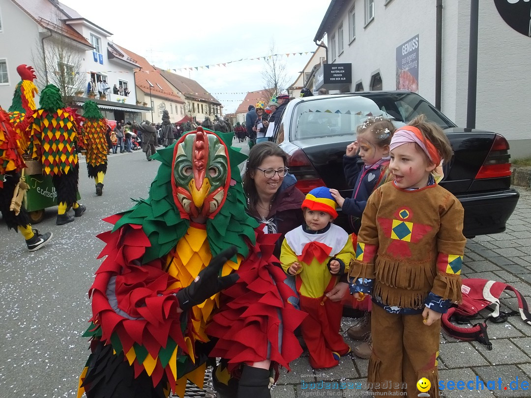 Fasnetsumzug, Narrensprung mit ueber 1200 Narren: Zwiefalten, 23.02.2020