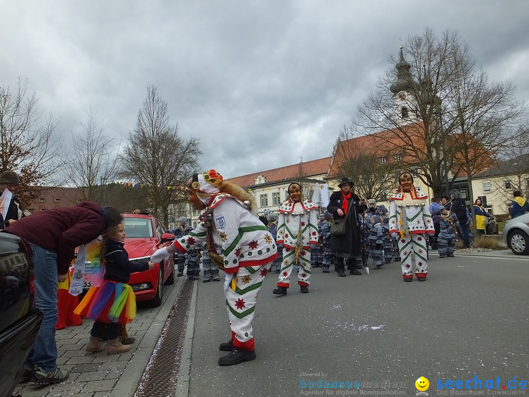 Fasnetsumzug, Narrensprung mit ueber 1200 Narren: Zwiefalten, 23.02.2020