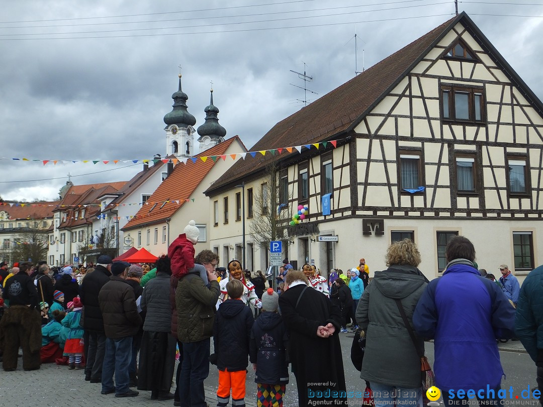 Fasnetsumzug, Narrensprung mit ueber 1200 Narren: Zwiefalten, 23.02.2020