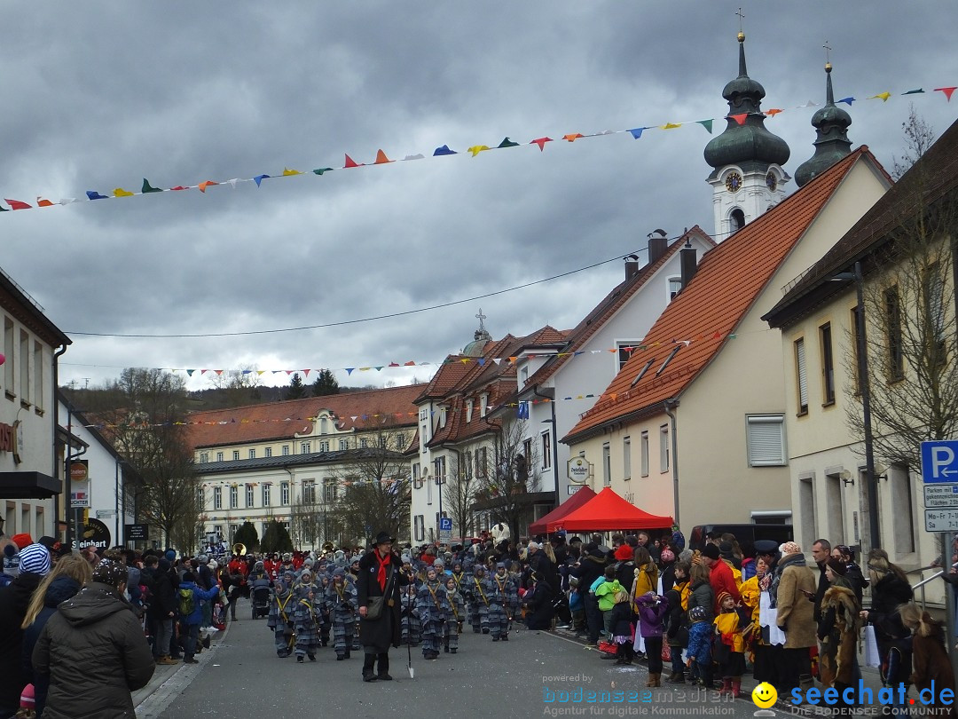 Fasnetsumzug, Narrensprung mit ueber 1200 Narren: Zwiefalten, 23.02.2020