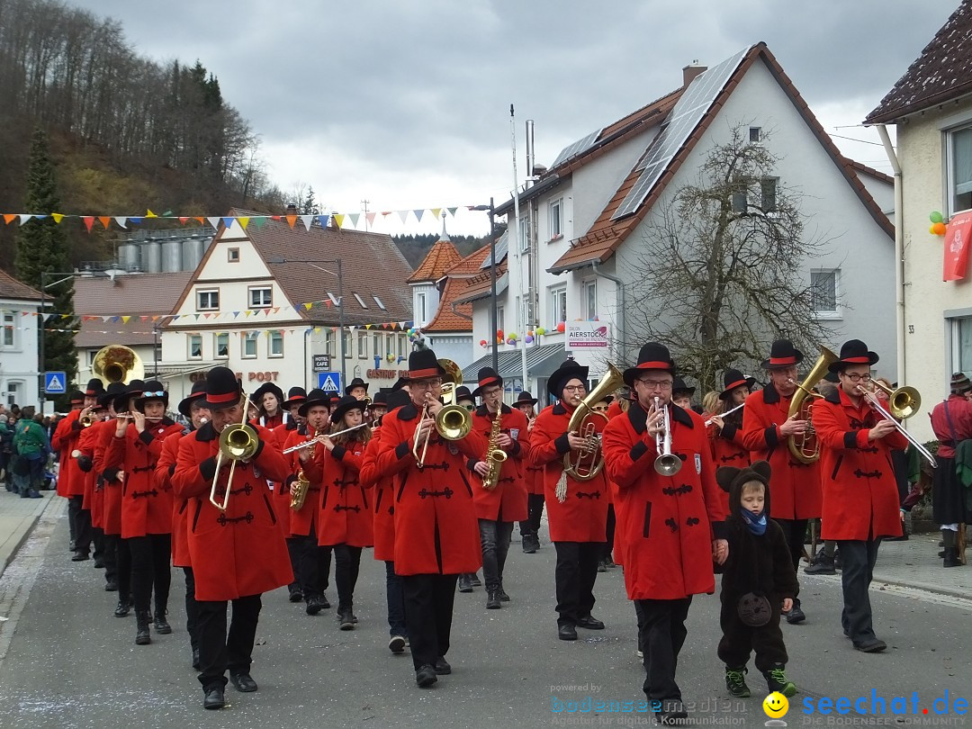 Fasnetsumzug, Narrensprung mit ueber 1200 Narren: Zwiefalten, 23.02.2020