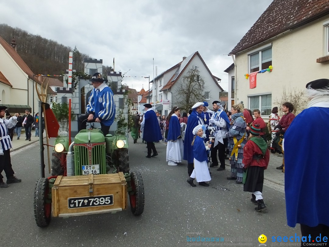 Fasnetsumzug, Narrensprung mit ueber 1200 Narren: Zwiefalten, 23.02.2020