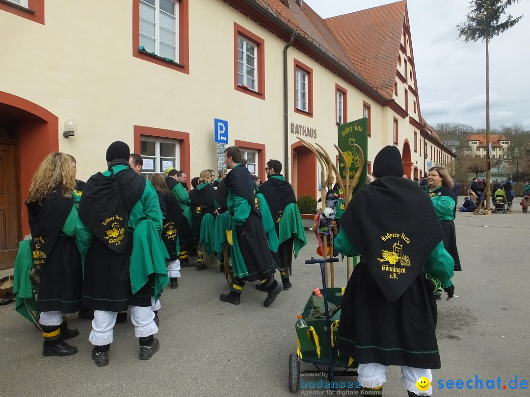 Fasnetsumzug, Narrensprung mit ueber 1200 Narren: Zwiefalten, 23.02.2020