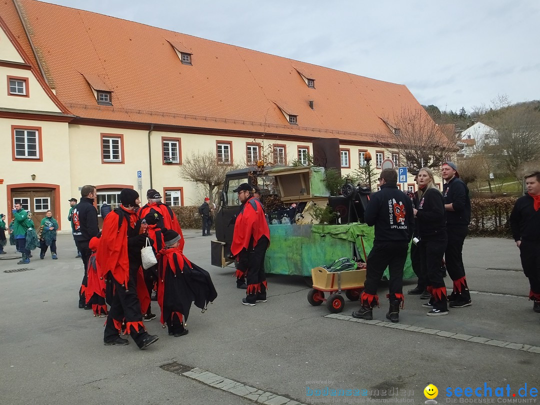 Fasnetsumzug, Narrensprung mit ueber 1200 Narren: Zwiefalten, 23.02.2020