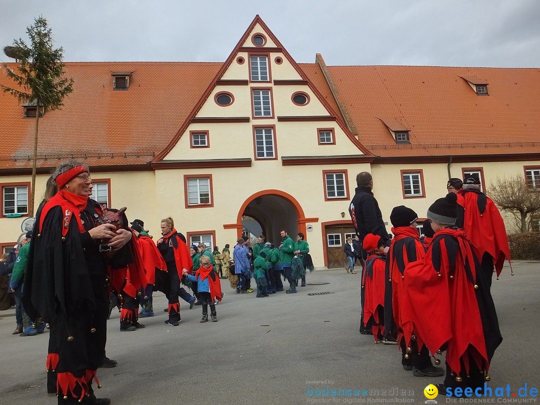 Fasnetsumzug, Narrensprung mit ueber 1200 Narren: Zwiefalten, 23.02.2020