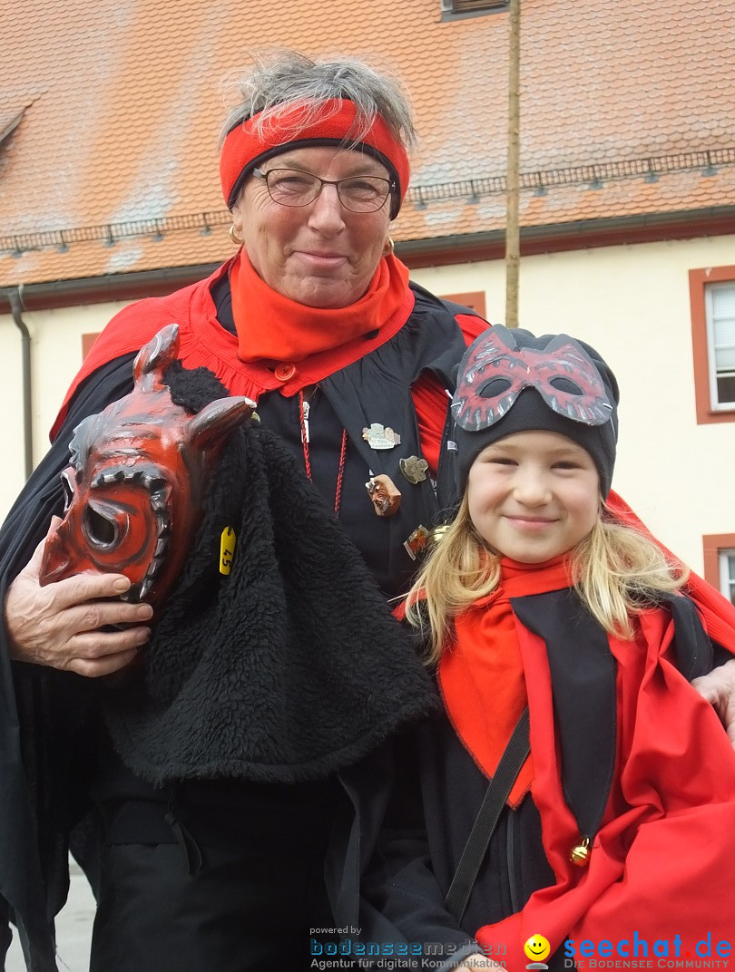 Fasnetsumzug, Narrensprung mit ueber 1200 Narren: Zwiefalten, 23.02.2020