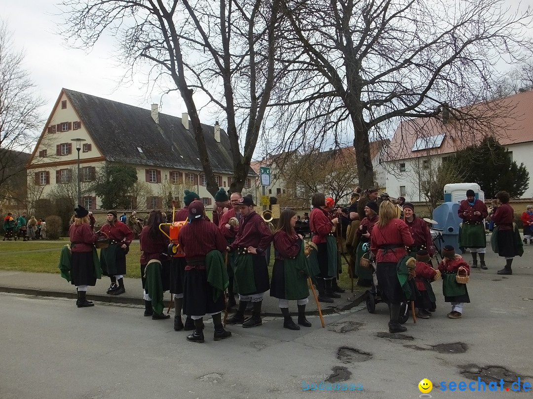 Fasnetsumzug, Narrensprung mit ueber 1200 Narren: Zwiefalten, 23.02.2020