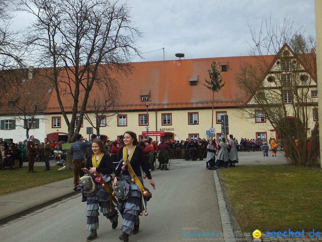 Fasnetsumzug, Narrensprung mit ueber 1200 Narren: Zwiefalten, 23.02.2020