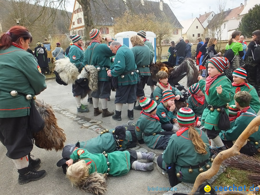 Fasnetsumzug, Narrensprung mit ueber 1200 Narren: Zwiefalten, 23.02.2020