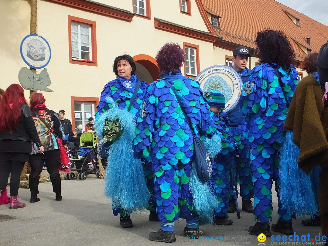 Fasnetsumzug, Narrensprung mit ueber 1200 Narren: Zwiefalten, 23.02.2020