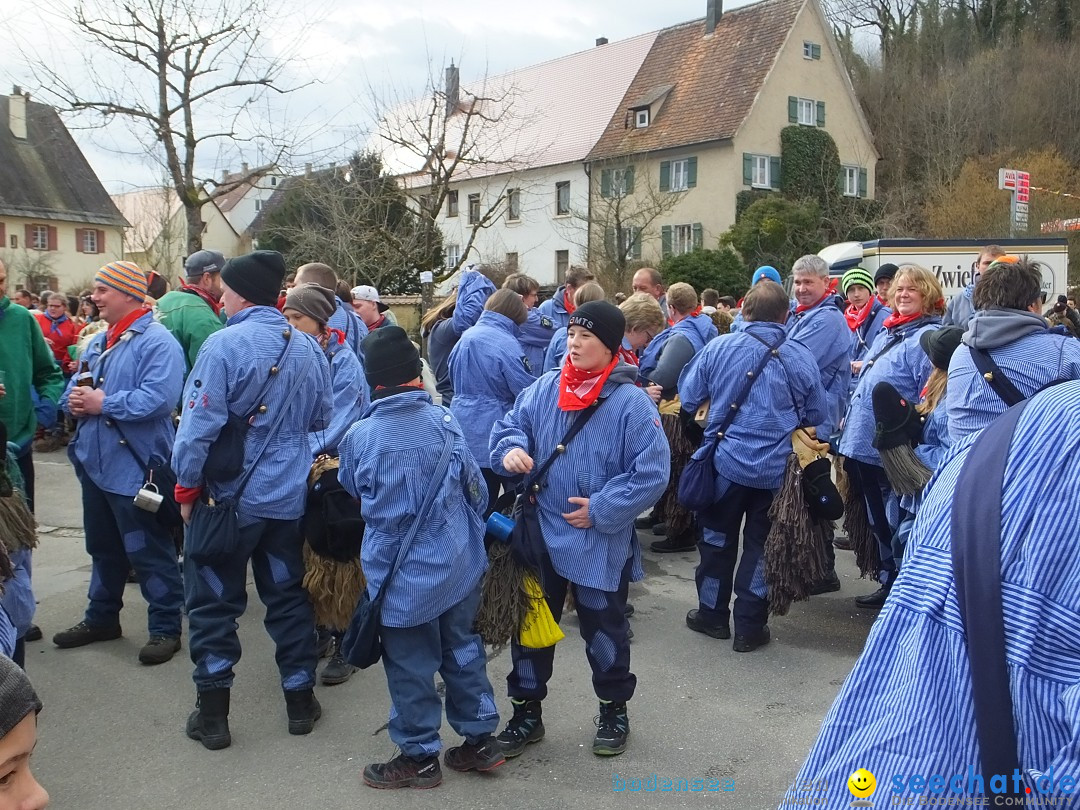 Fasnetsumzug, Narrensprung mit ueber 1200 Narren: Zwiefalten, 23.02.2020