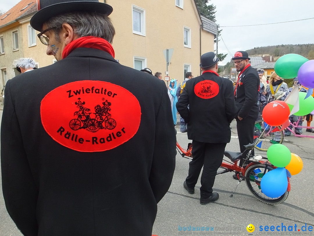 Fasnetsumzug, Narrensprung mit ueber 1200 Narren: Zwiefalten, 23.02.2020