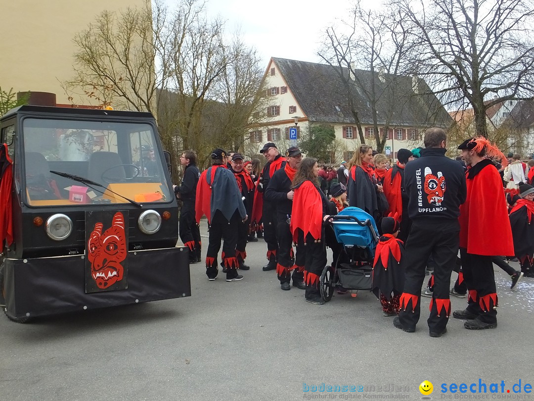 Fasnetsumzug, Narrensprung mit ueber 1200 Narren: Zwiefalten, 23.02.2020