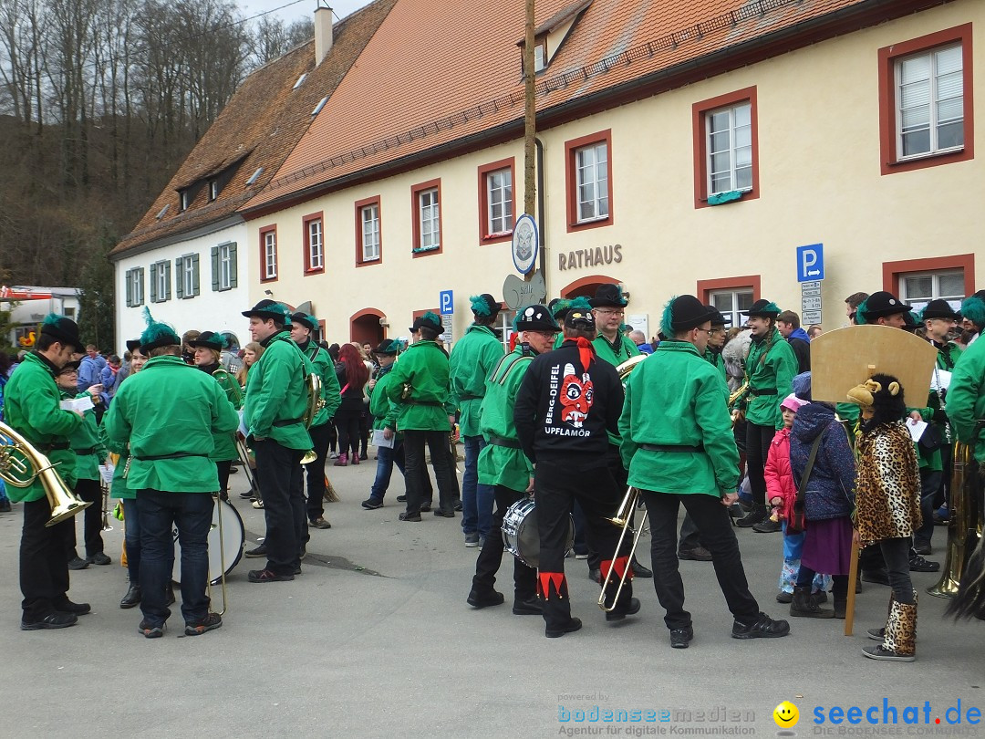 Fasnetsumzug, Narrensprung mit ueber 1200 Narren: Zwiefalten, 23.02.2020