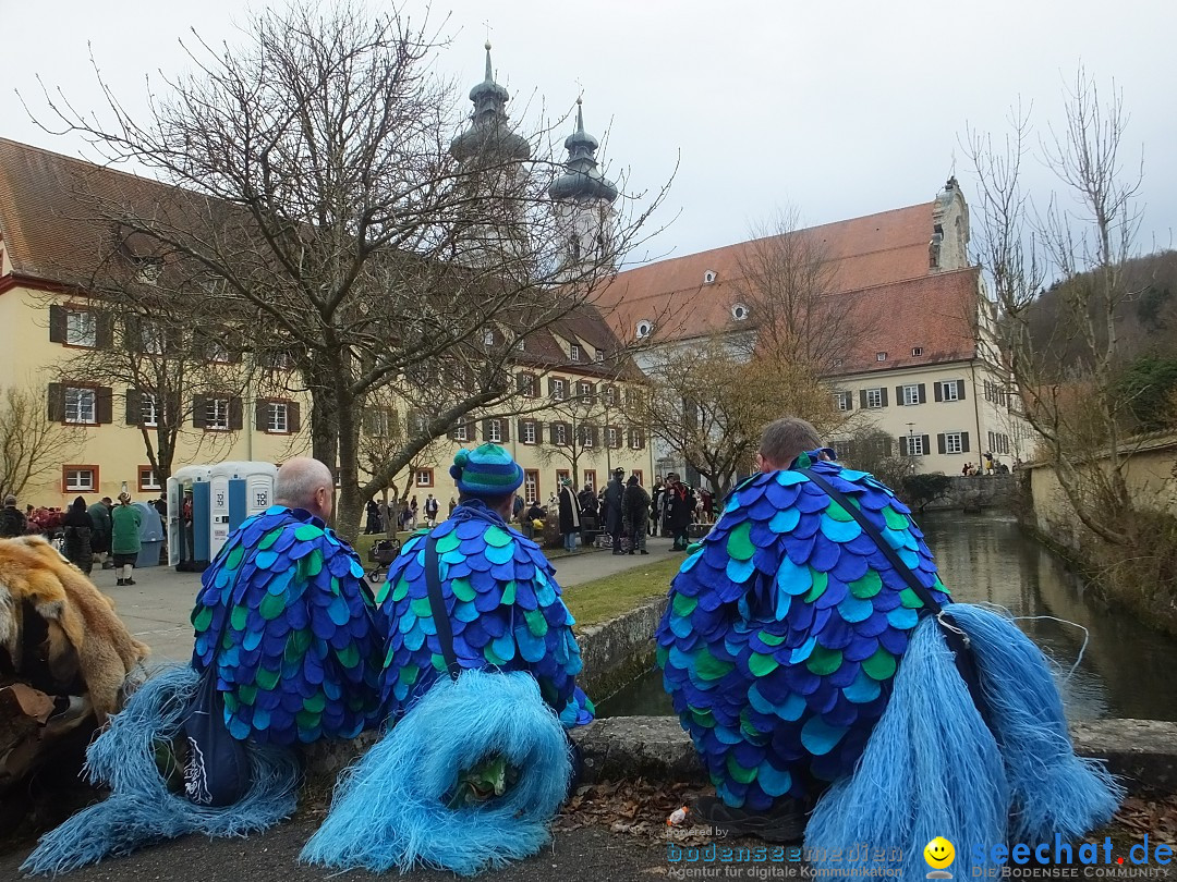 Fasnetsumzug, Narrensprung mit ueber 1200 Narren: Zwiefalten, 23.02.2020