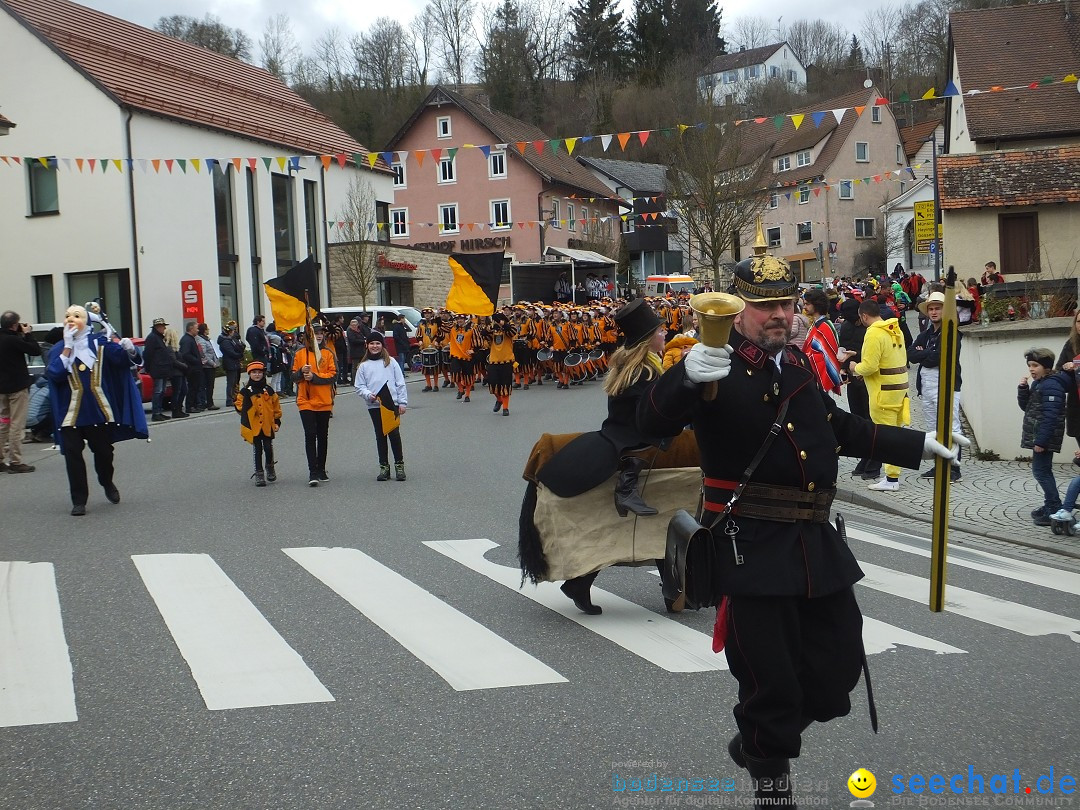 Fasnetsumzug, Narrensprung mit ueber 1200 Narren: Zwiefalten, 23.02.2020