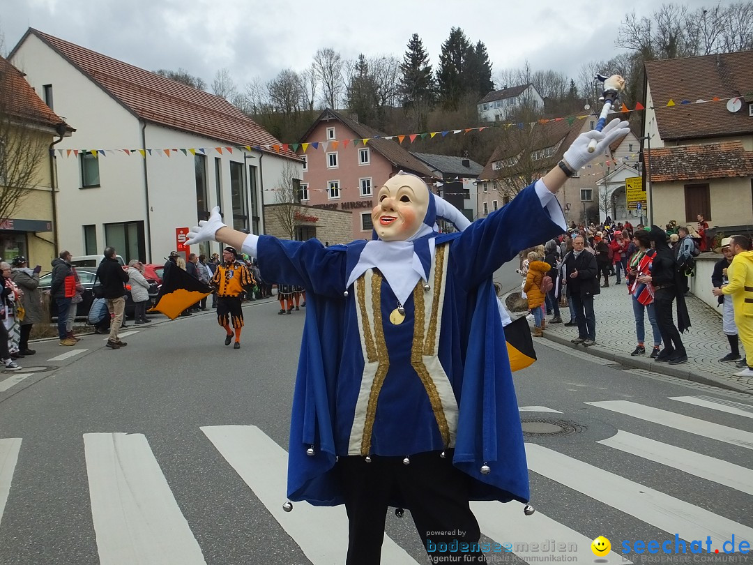 Fasnetsumzug, Narrensprung mit ueber 1200 Narren: Zwiefalten, 23.02.2020