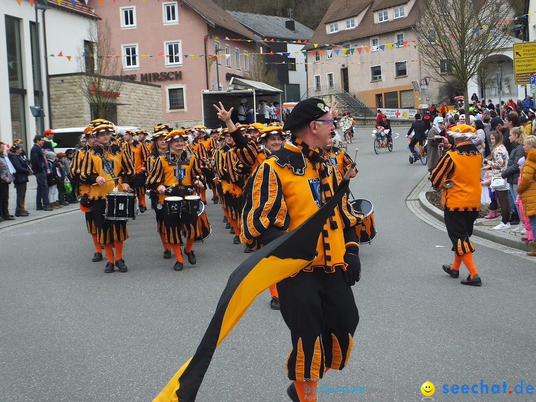 Fasnetsumzug, Narrensprung mit ueber 1200 Narren: Zwiefalten, 23.02.2020