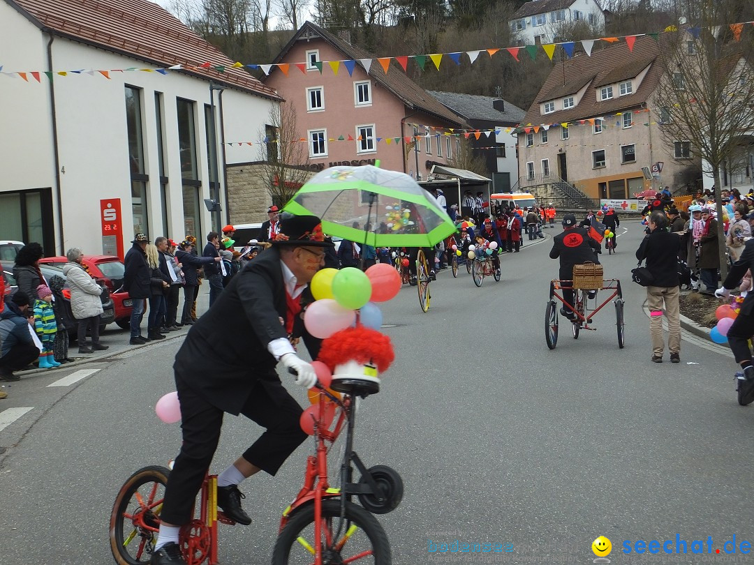 Fasnetsumzug, Narrensprung mit ueber 1200 Narren: Zwiefalten, 23.02.2020