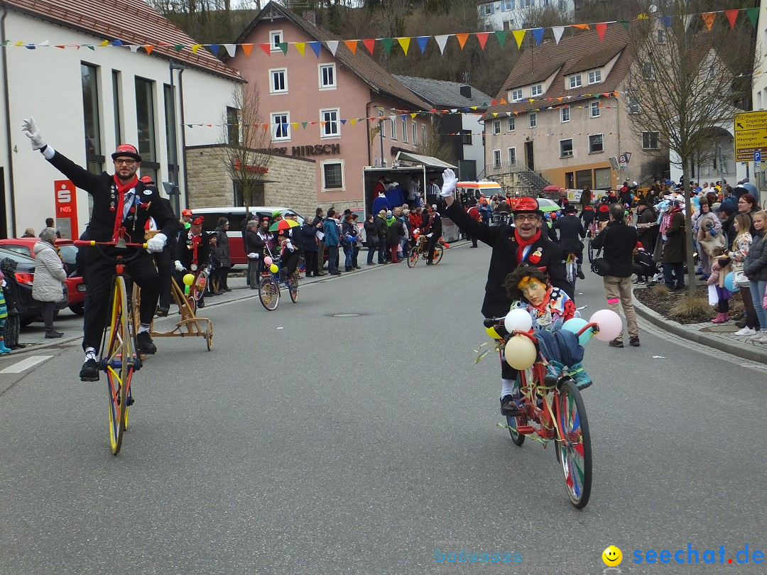 Fasnetsumzug, Narrensprung mit ueber 1200 Narren: Zwiefalten, 23.02.2020