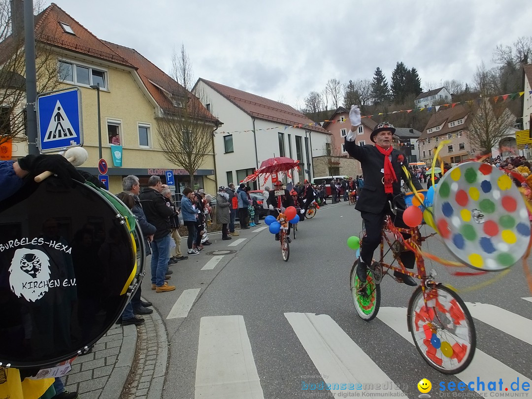 Fasnetsumzug, Narrensprung mit ueber 1200 Narren: Zwiefalten, 23.02.2020