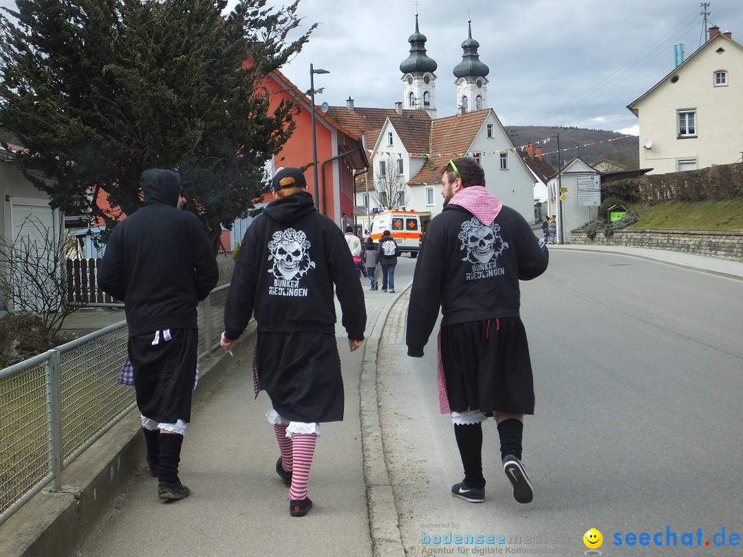 Fasnetsumzug, Narrensprung mit ueber 1200 Narren: Zwiefalten, 23.02.2020