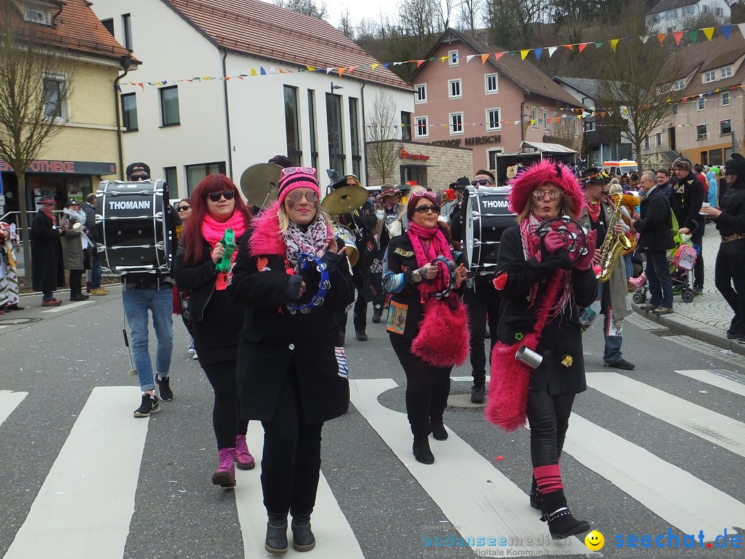 Fasnetsumzug, Narrensprung mit ueber 1200 Narren: Zwiefalten, 23.02.2020