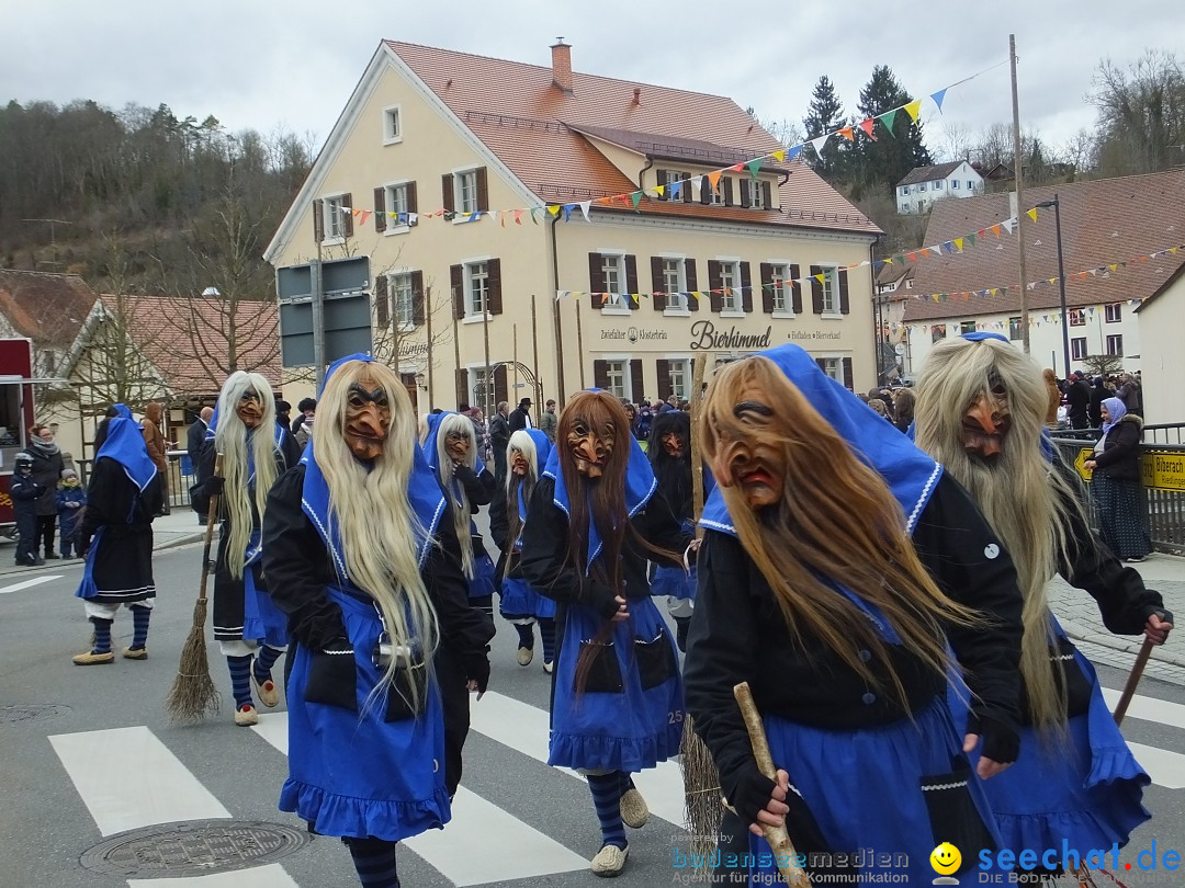 Fasnetsumzug, Narrensprung mit ueber 1200 Narren: Zwiefalten, 23.02.2020