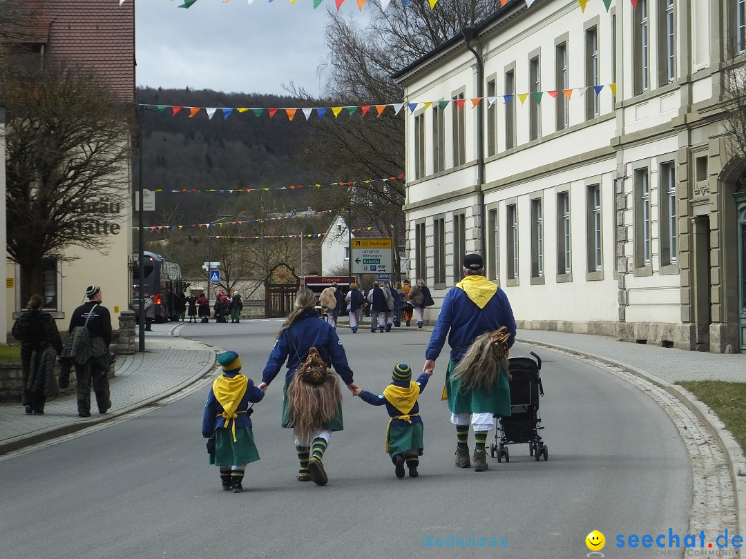 Fasnetsumzug, Narrensprung mit ueber 1200 Narren: Zwiefalten, 23.02.2020