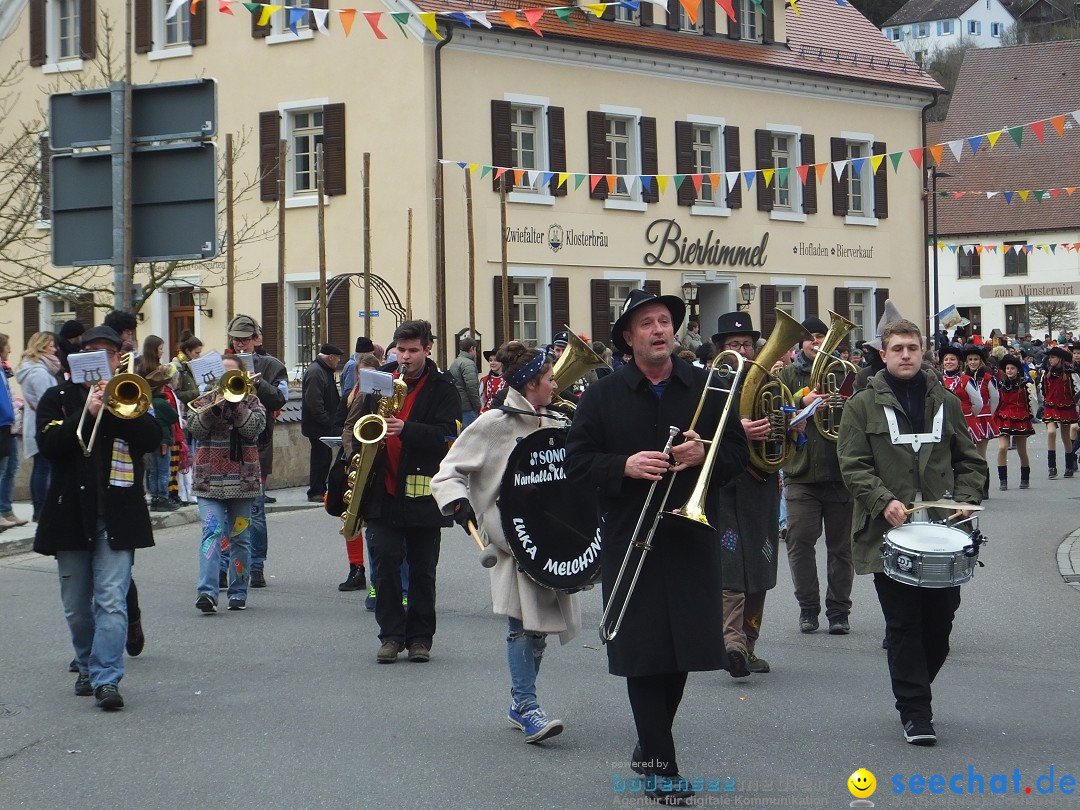 Fasnetsumzug, Narrensprung mit ueber 1200 Narren: Zwiefalten, 23.02.2020