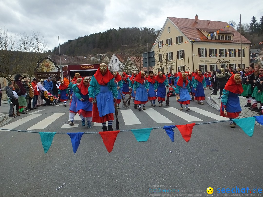 Fasnetsumzug, Narrensprung mit ueber 1200 Narren: Zwiefalten, 23.02.2020