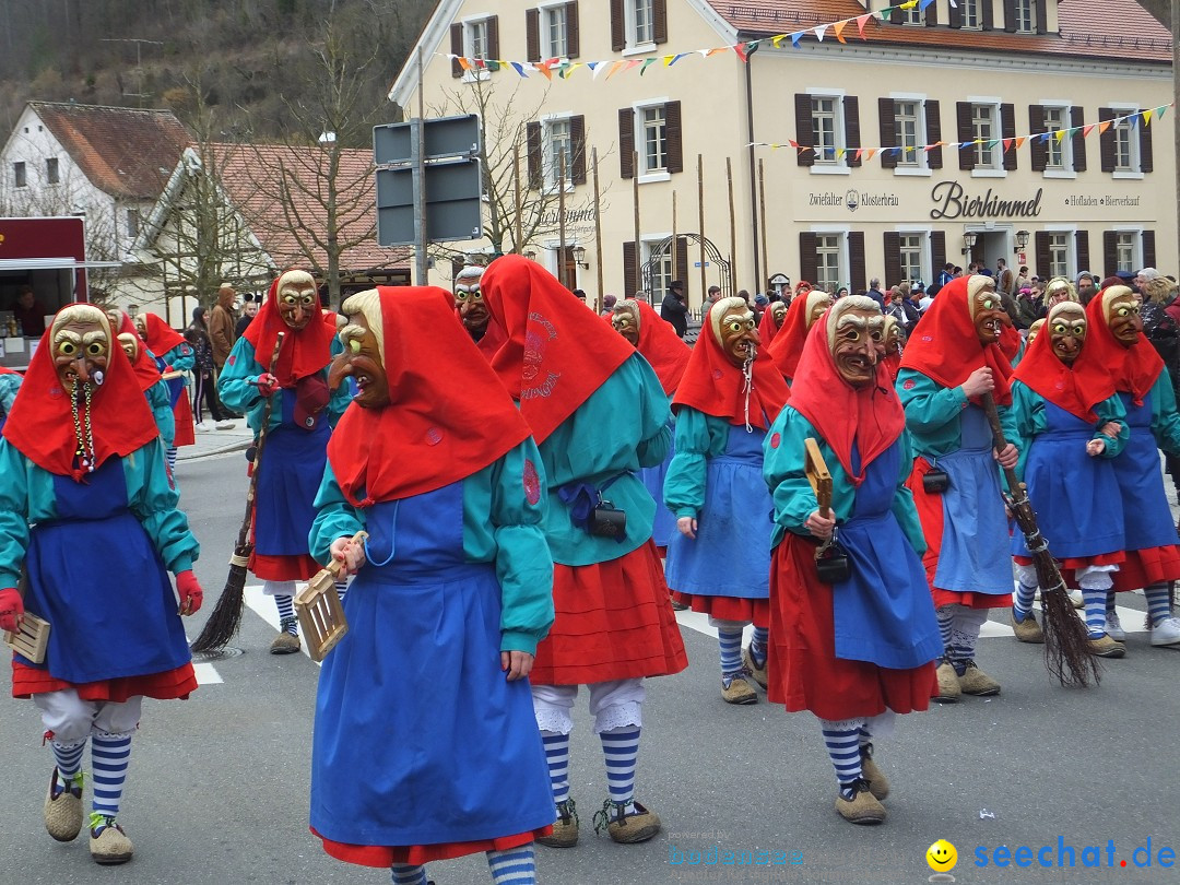 Fasnetsumzug, Narrensprung mit ueber 1200 Narren: Zwiefalten, 23.02.2020